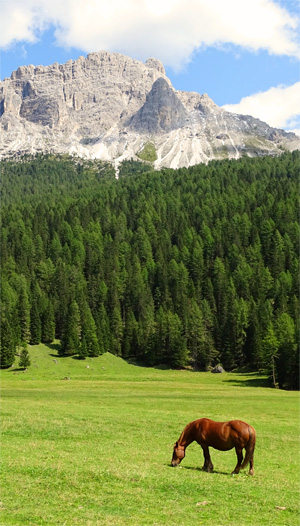 自然风景